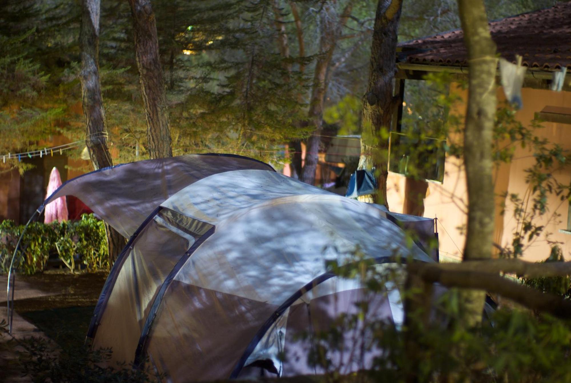 Camping Lacona Pineta Каполивери Экстерьер фото