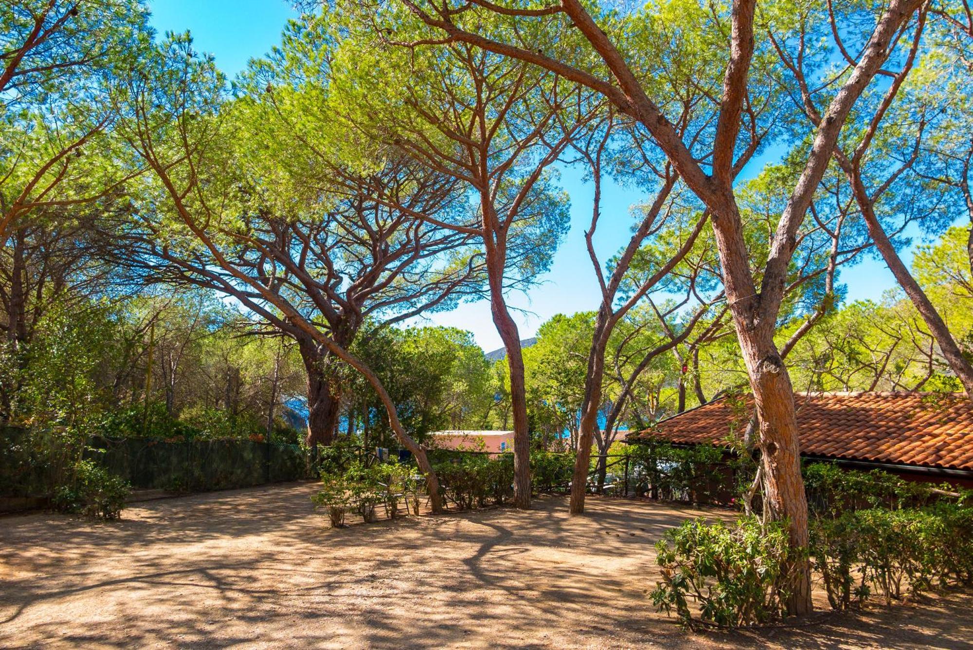 Camping Lacona Pineta Каполивери Экстерьер фото